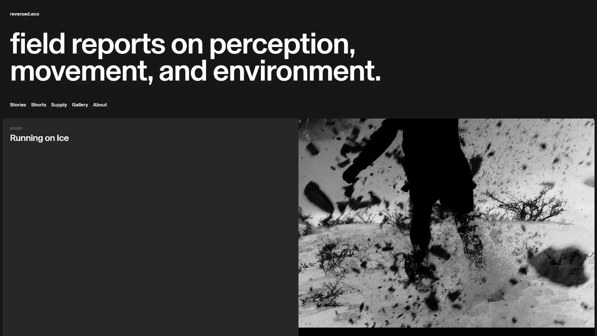 Screenshot of reversed.eco